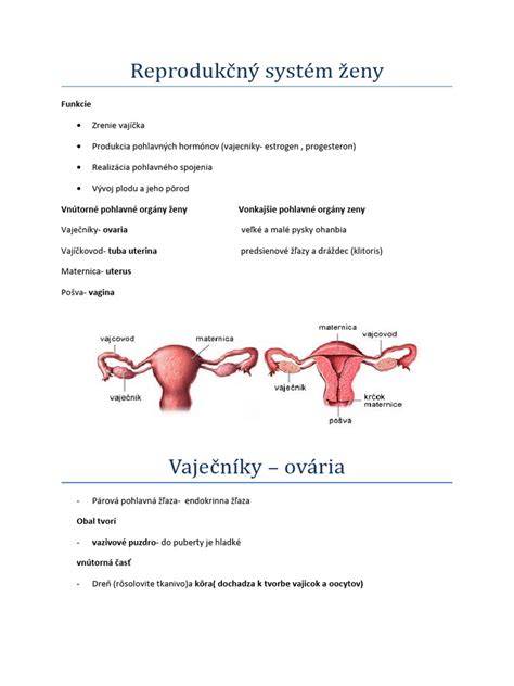 ženský reprodukčný systém s jedným vajcovodom