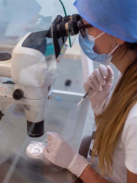 IVF postup od stimulácie po embryotransfer