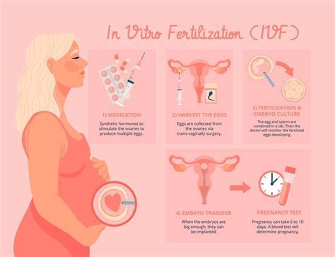 Priebeh IVF od stimulácie po embryotransfer