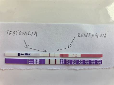ovulačný a tehotenský test vedľa seba