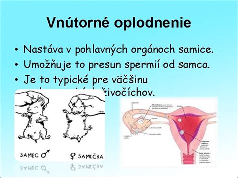 vnútorné a vonkajšie oplodnenie schéma