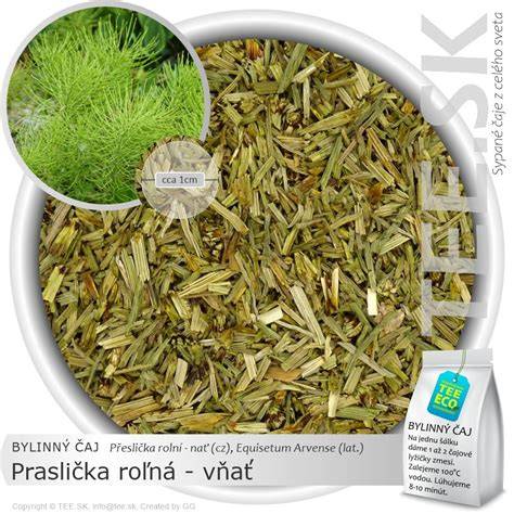 praslička roľná a tehotenský čaj