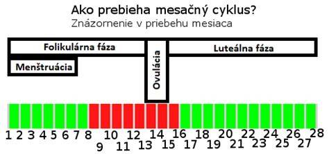 Plodné dni počas menštruačného cyklu