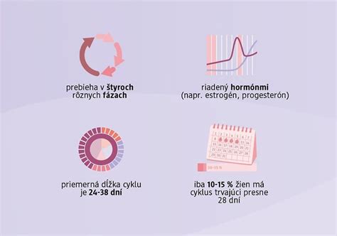 Štyri fázy menštruačného cyklu