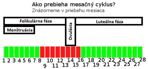 ovulácia a plodné dni v menštruačnom cykle