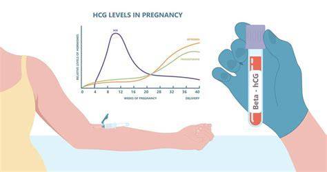 Pokles hCG po potrate graf