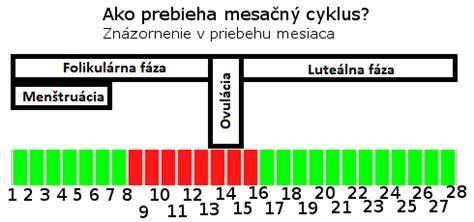 Ovulácia a plodné dni diagram