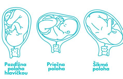Poloha bábätka bruškom na predlaktí