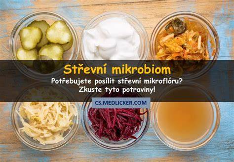 potraviny podporujúce zdravú mikroflóru