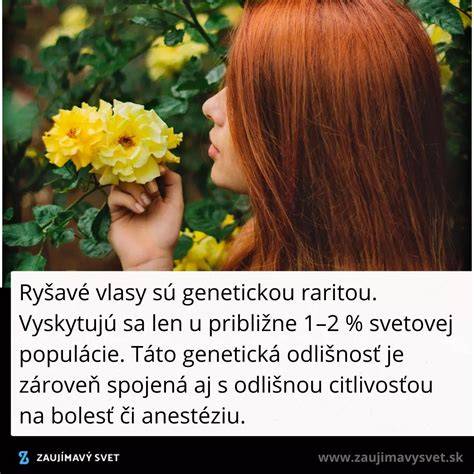 Rodokmeň dedičnosti ryšavých vlasov