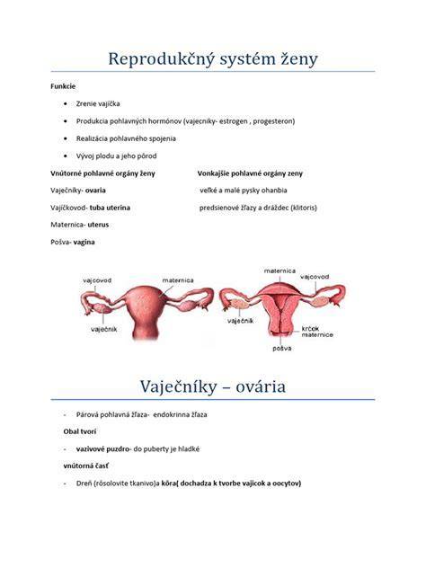 ženský reprodukčný trakt cesta spermií