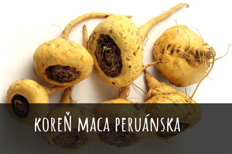 maca peruánska koreň a prášok