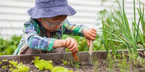 Montessori záhrada pre deti Nitra