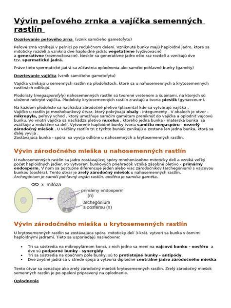 Klíčenie peľového zrnka a rast peľovej trubice