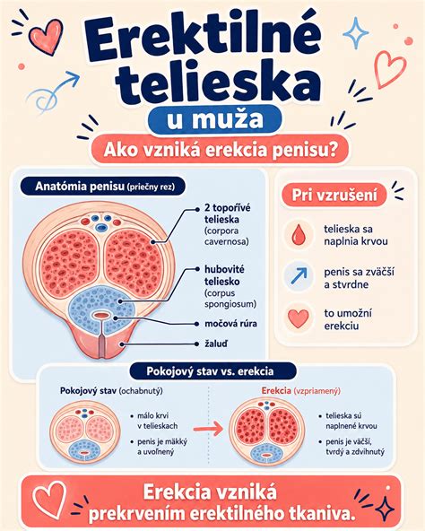 čiastočné vniknutie penisu a riziko tehotenstva