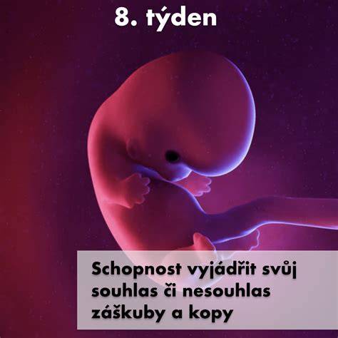 Vývoj odtlačkov prstov plodu